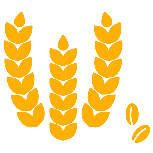 Harina de Trigo integral