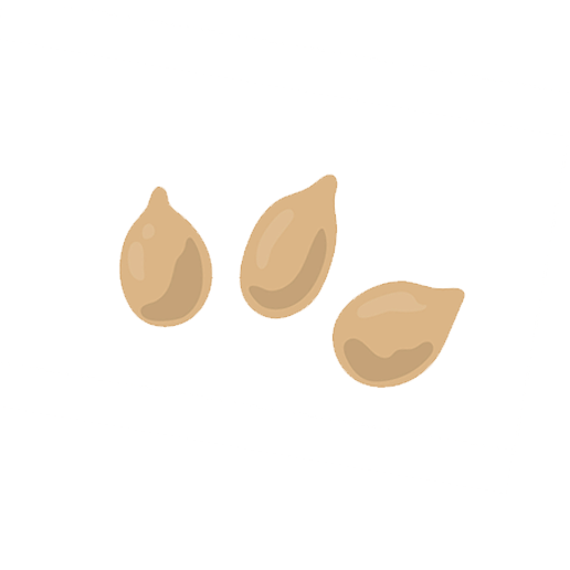 Semillas de Sésamo